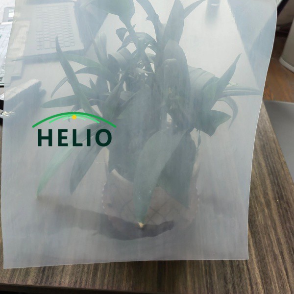Clear vs diffused Greenhouse Film: වඩා හොඳ අස්වැන්නක් ලබා දෙන්නේ කුමක්ද?